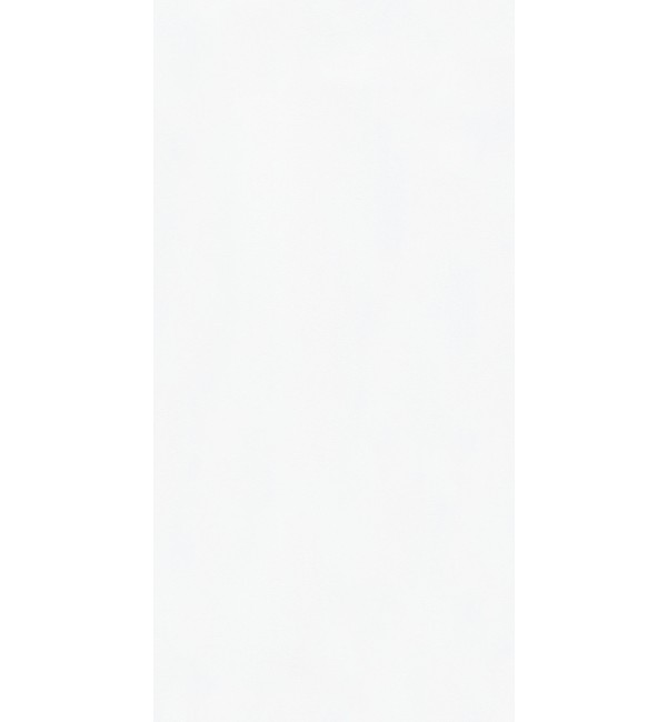 Absolute White