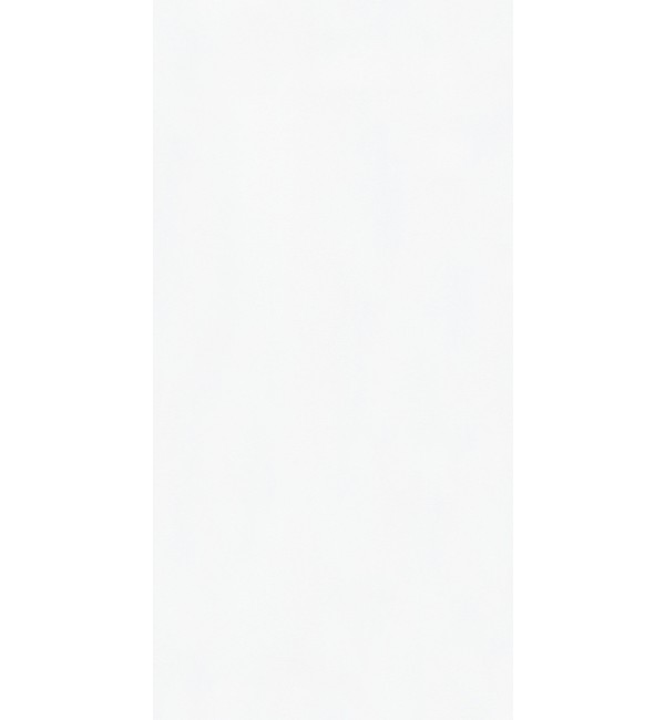 Mysore Ivory