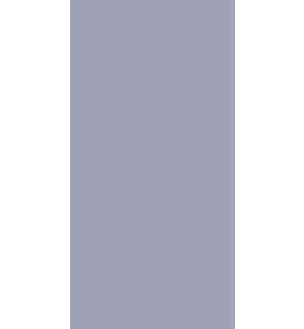 Bluish Grey