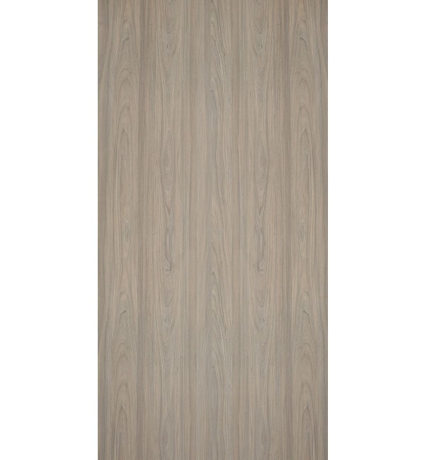 Rosenheim Elm