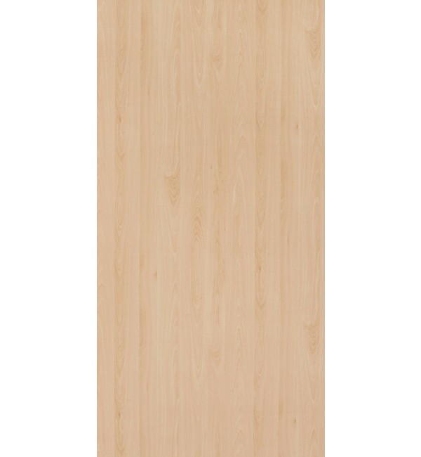 Mangfall Beech