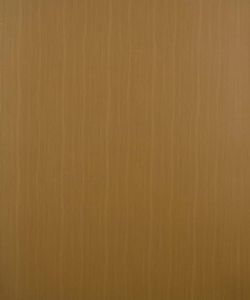 European Walnut
