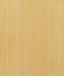 European White Elm