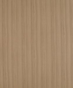 Xyloid Teak