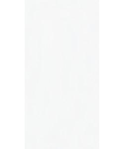 Absolute White