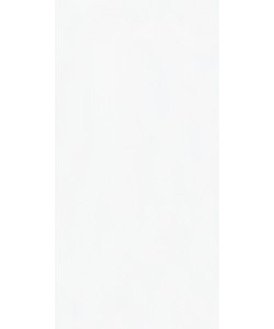 Mysore Ivory