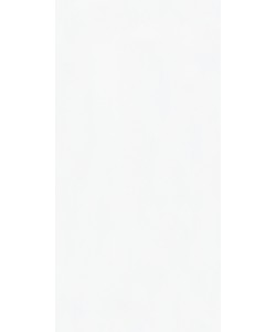 Mysore Ivory