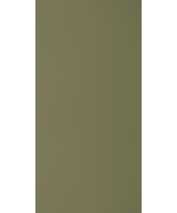 Pine Nut
