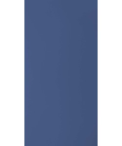 Electric Blue