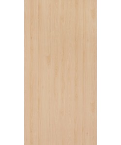 Mangfall Beech