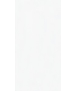 Absolute White