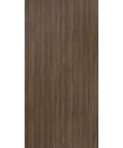 Neoteric Oak
