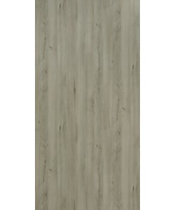 Italian Beech